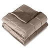 Size: 40"x60" - 10lbs, Actual Color: Minky Fleece Taupe