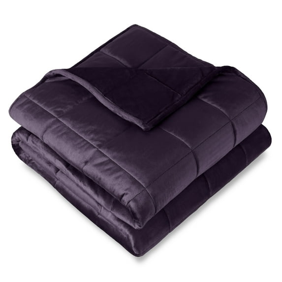 Bare Home 17 lbs Weighted Blanket for Adults - 60" x 80" - Minky Fleece, Eggplant