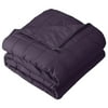 Size: 40"x60" - 7lbs, Actual Color: Cotton Eggplant