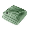 thumbnail image 1 of Bare Home Microplush Fleece Blanket - 300 GSM - Fuzzy Microfleece - Soft & Plush - King, Meadow, 1 of 10