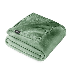 Bare Home Microplush Fleece Blanket - 300 GSM - Fuzzy Microfleece - Soft & Plush - Twin/Twin XL, Meadow