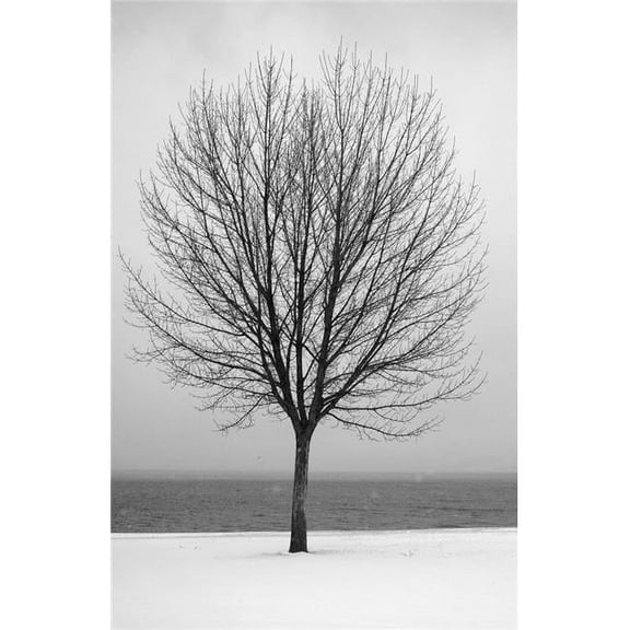 Bare Tree All Alone Poster Print by Greg Wilson, 22 x 34 - Large