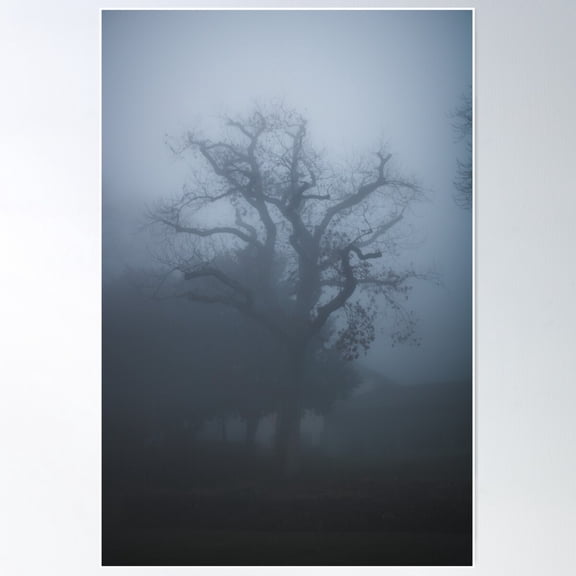 Bare Tree In The Fog Poster Wall Art, Modern Wall Decor For Living Room Bedroom, 8x12 UNFRAMED
