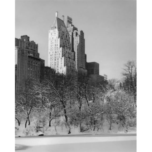 Bare Trees in a Park Central Park South Manhattan New York City New York USA Poster Print - 18 x 24 in.