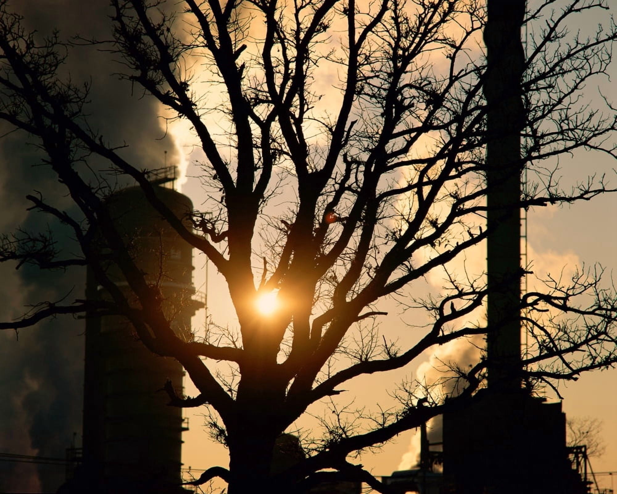 Bare tree with processing plant Canvas Art - Panoramic Images (22 x 28)