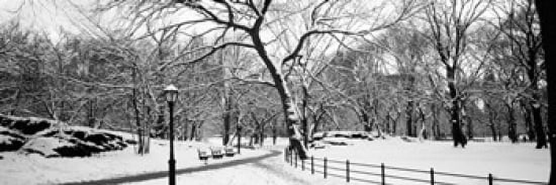 Bare trees during winter in a park Central Park Manhattan New York City New York State USA Canvas Art - Panoramic Images (18 x 6)