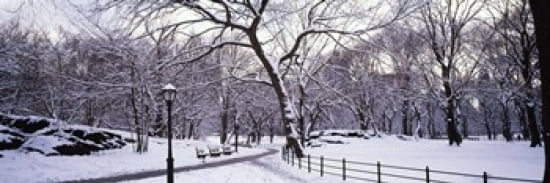 Bare trees during winter in a park Central Park Manhattan New York City New York State USA Canvas Art - Panoramic Images (36 x 12)