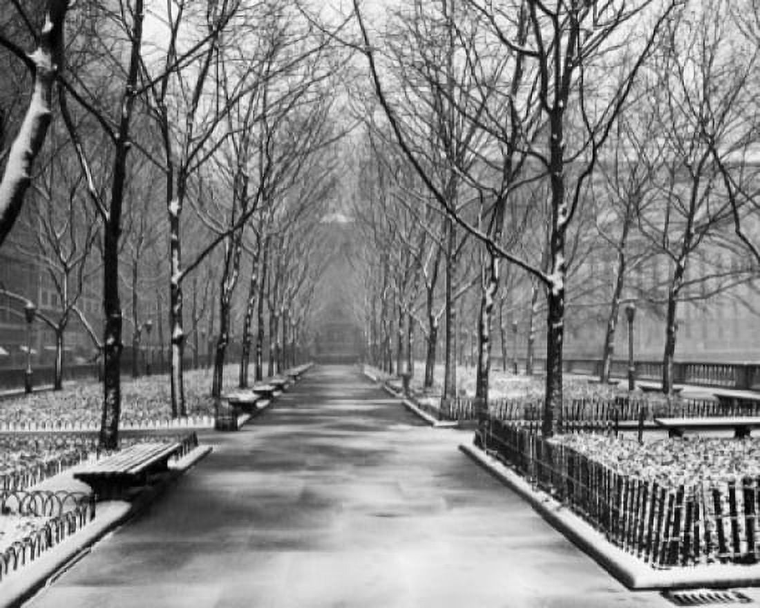 Bare trees in a park Bryant Park Manhattan New York City New York USA Canvas Art - (24 x 36)