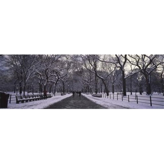 Bare trees in a park, Central Park, New York City, New York State, USA Poster Print (36 x 12)