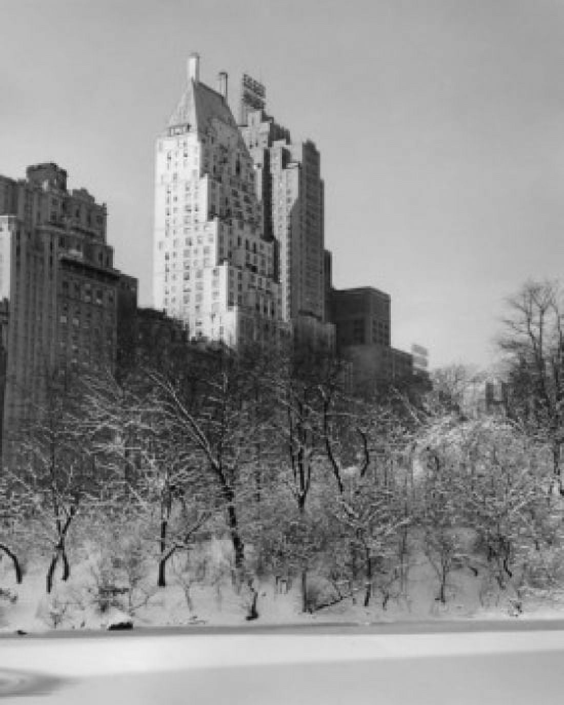 Bare trees in a park Central Park South Manhattan New York City New York USA Canvas Art - (18 x 24)