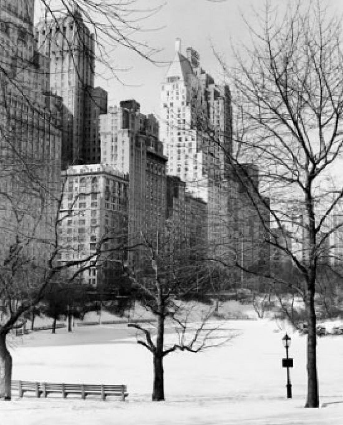 Bare trees in a snow covered park Central Park Manhattan New York City New York USA Canvas Art - (24 x 36)