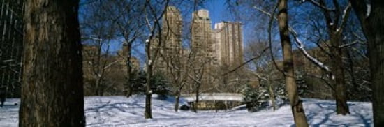 Bare trees with buildings in the background Central Park Manhattan New York City New York State USA Canvas Art - Panoramic Images (36 x 12)