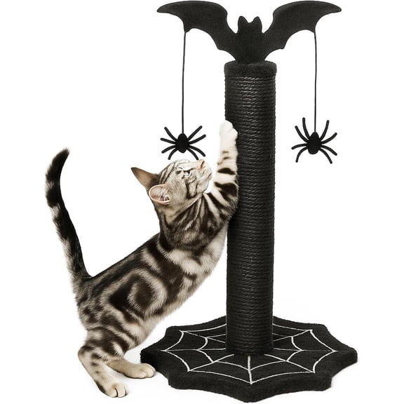 BarefHaven Gothic Cat Scratching Post, 17.3 inch with Sturdy Spider Web Floor Foundation and Bat Top with Spider Toy, Halloween Cat Scratcher, Cat Scratchers for Indoor Cats, Black