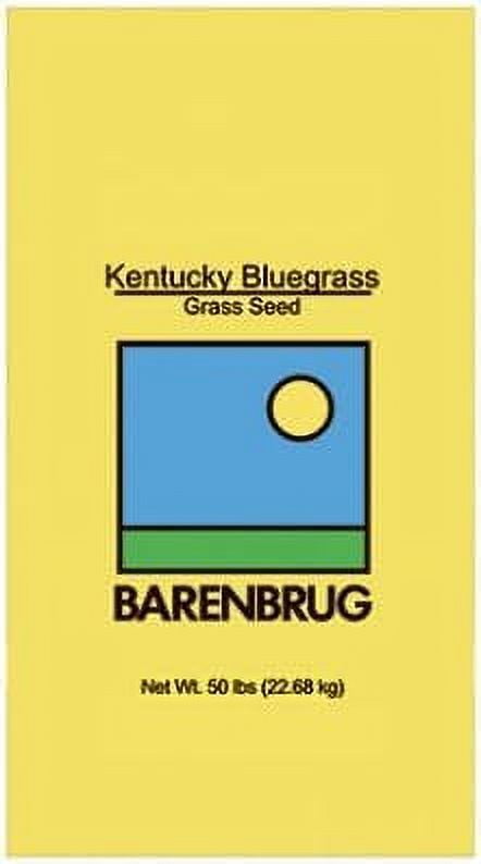 Barenbrug 491123 Kentucky Bluegrass