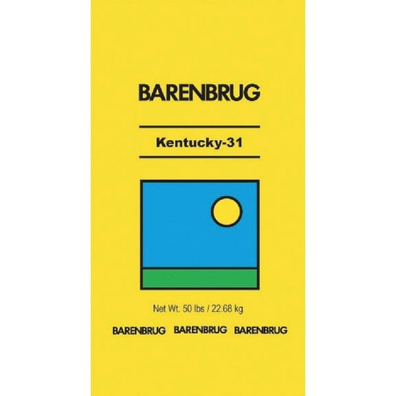Barenbrug 50lb K31 Tall Fescue 25414