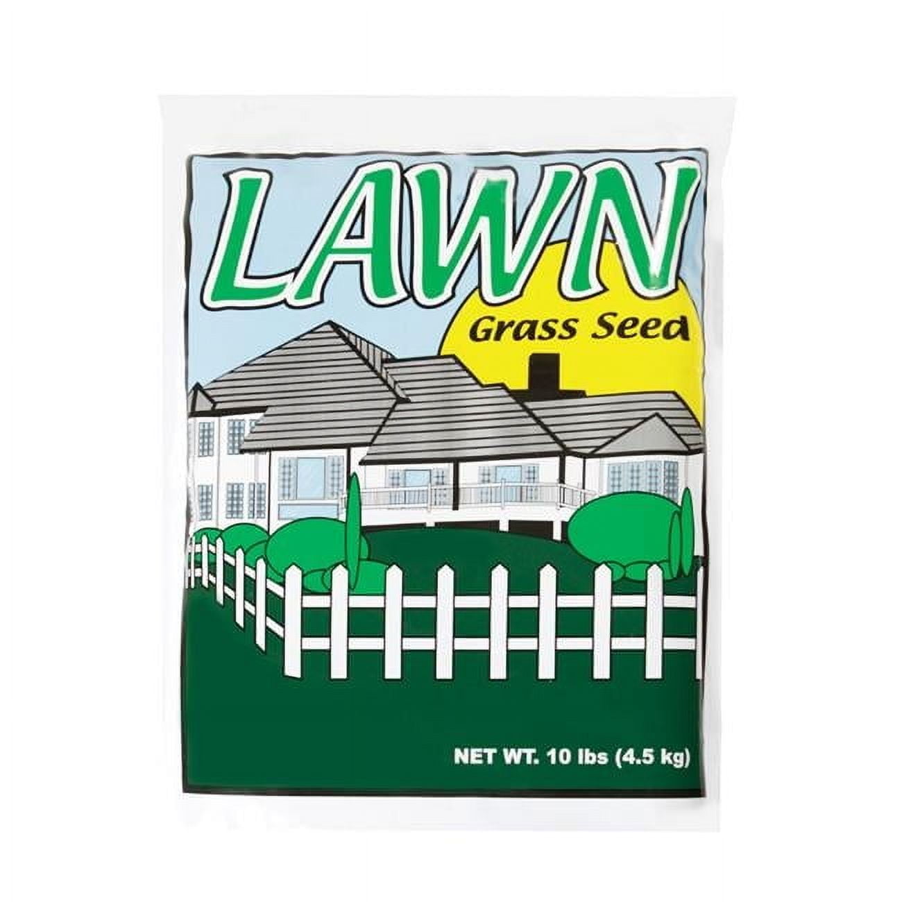 Barenbrug 7203748 Annual Ryegrass Grass Seed, 10 lbs