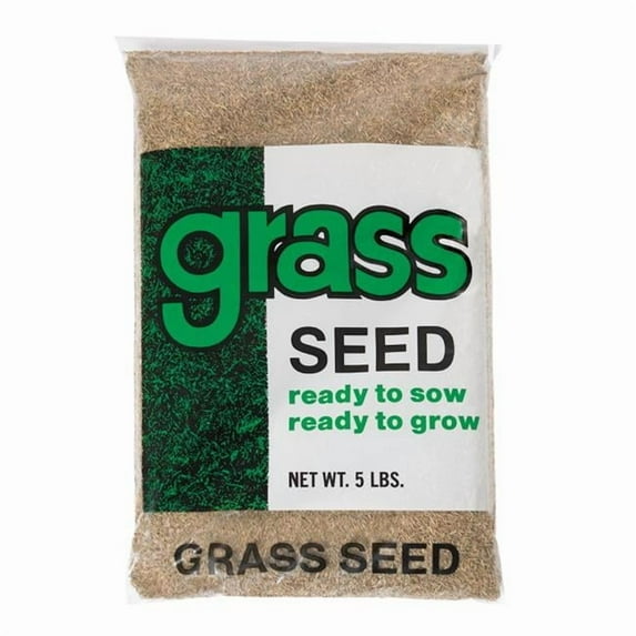 Barenbrug 7203730 Annual Ryegrass Grass Seed, 5 lbs
