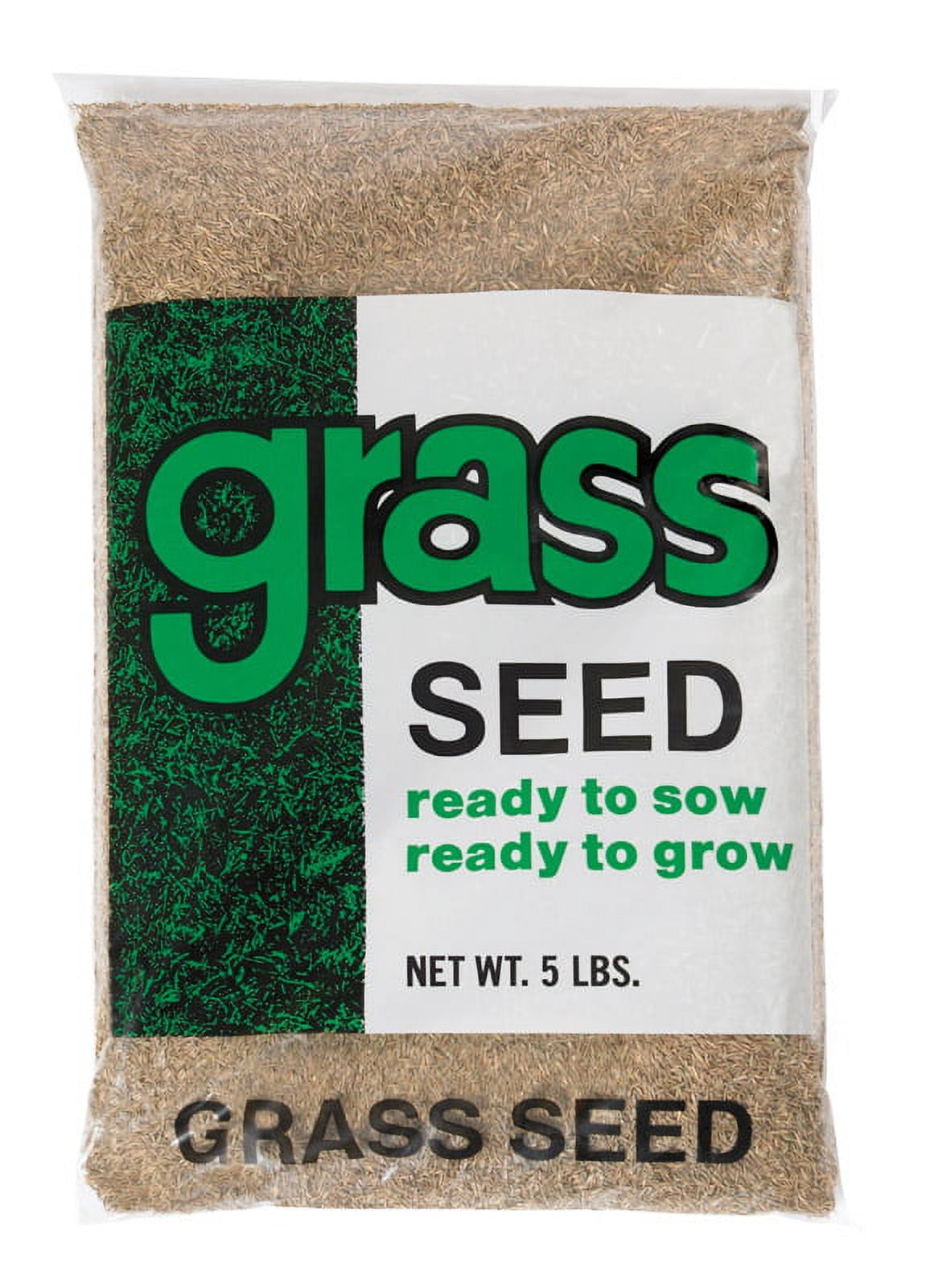 Barenbrug 7203730 Annual Ryegrass Grass Seed, 5 lbs
