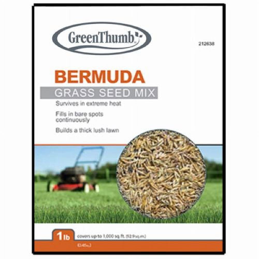 Barenbrug GTBERM1 1 LB Bag of Bermuda Grass Seed Mix - Quantity of 3