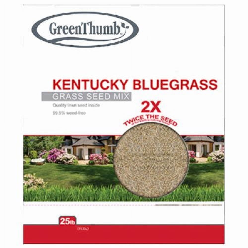 Barenbrug GTKBG25 25 LB Bag of Kentucky Bluegrass Grass Seed Mix - Quantity of 2