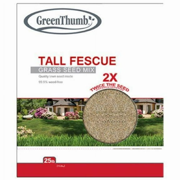 Barenbrug GTTF25 25 LB Bag of Turf Type Tall Fescue Grass Seed Mix - Quantity of 2