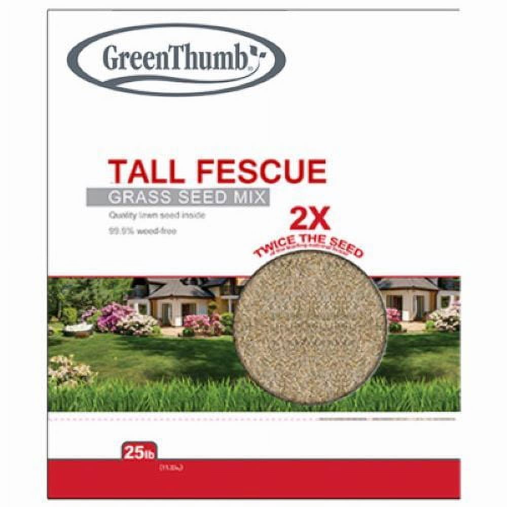 Barenbrug GTTF25 25 LB Bag of Turf Type Tall Fescue Grass Seed Mix - Quantity of 4