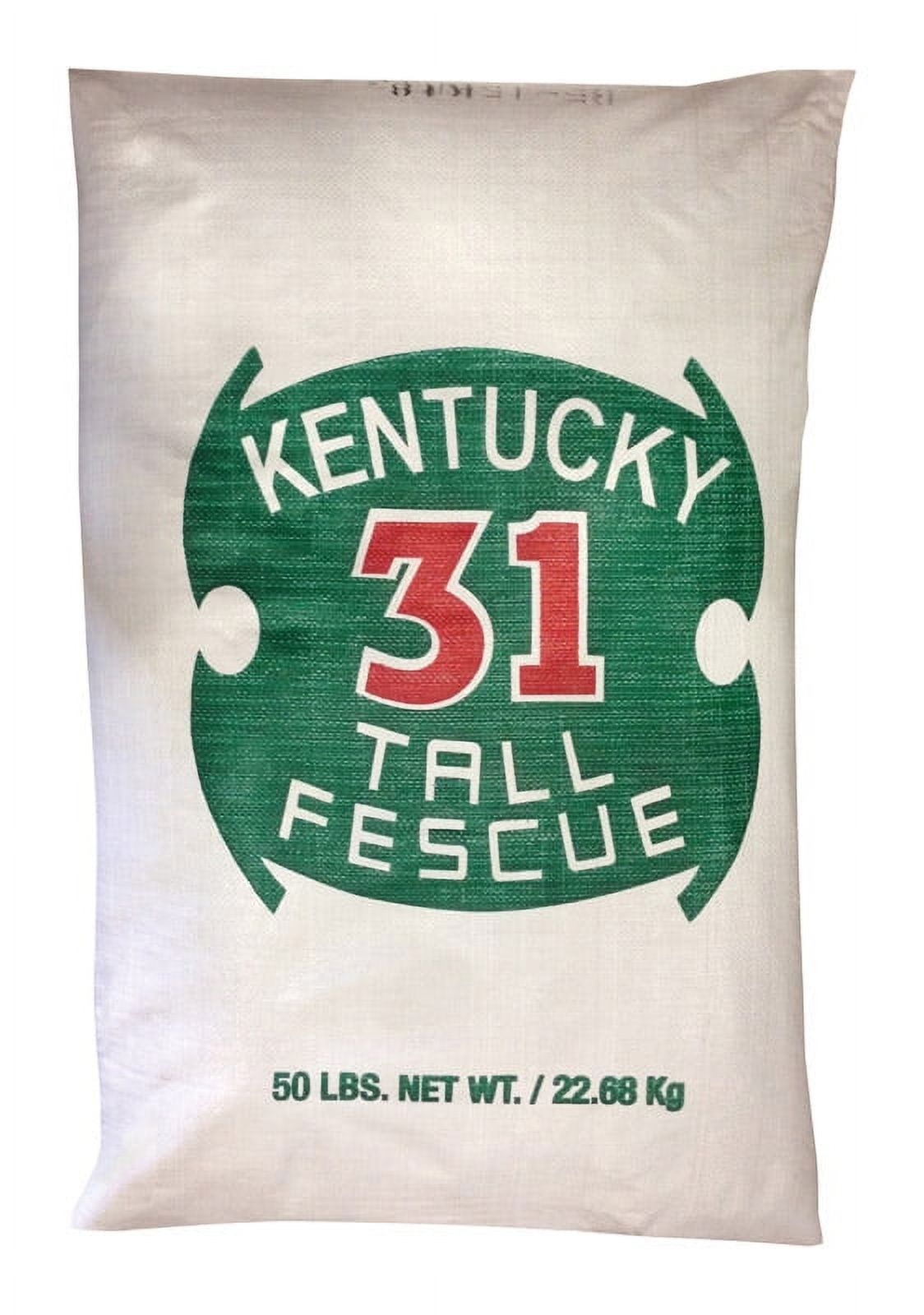 Barenbrug K3150PLT 50 lb. Kentucky 31 Tall Fescue Grass Seed