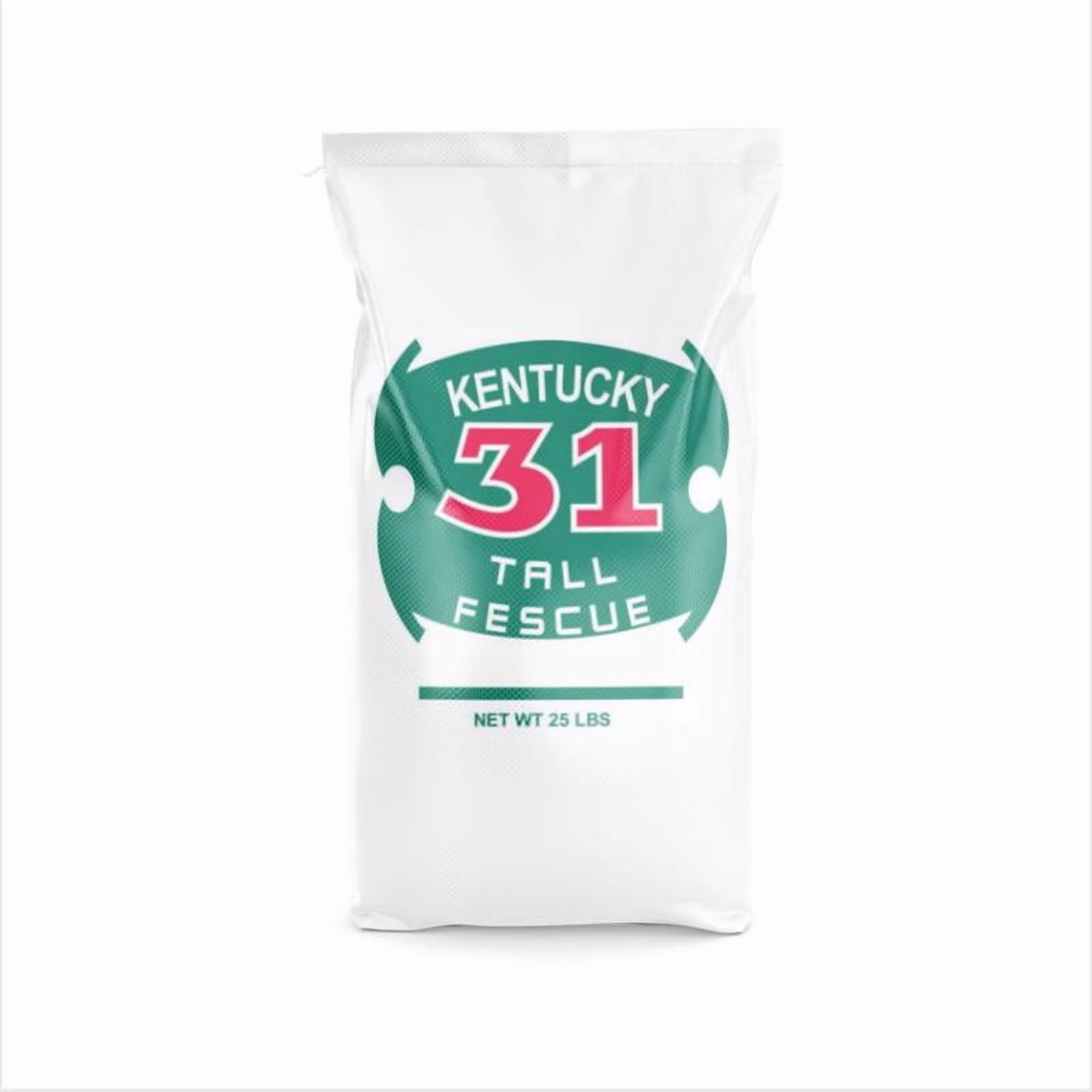 Barenbrug Kentucky 31 Tall Fescue Grass Seed, 25 lb - Sun or Shade Drought Tolerant