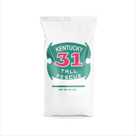Barenbrug Kentucky 31 Tall Fescue Grass Seed, 25 lb - Sun or Shade Drought Tolerant