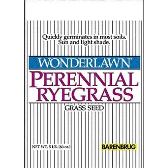 Barenbrug Perennial Ryegrass Plant Seeds