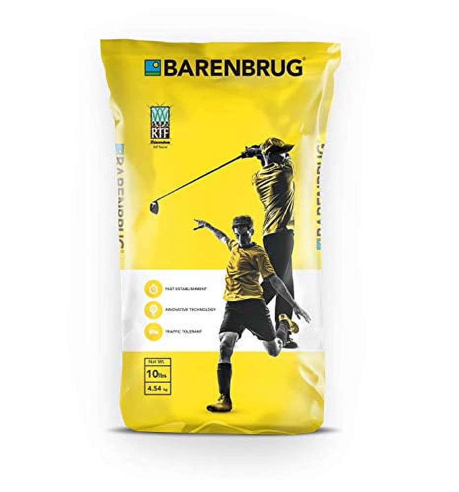 Barenbrug Turf Saver RTF Grass Seed SelfRepairing, Drought Tolerant