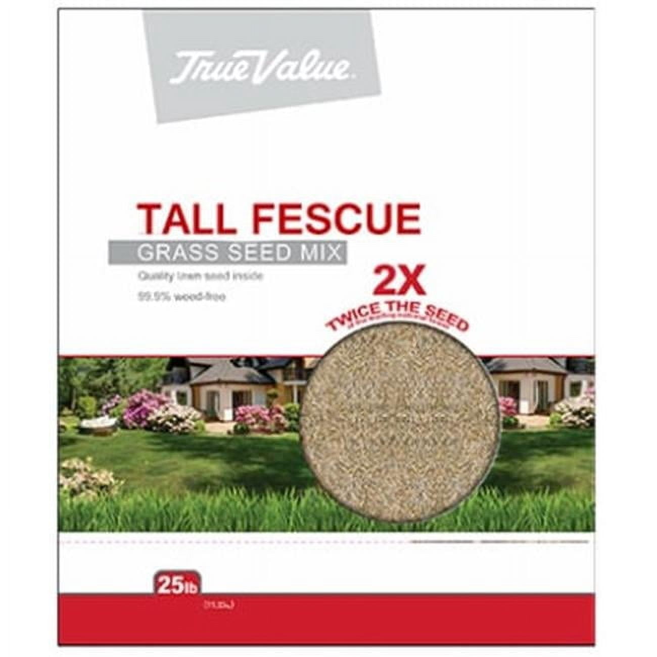 Barenbrug USA 212657 TV25LB Tall Fescue Seed, TV 25 lbs Tall Fescue Seed
