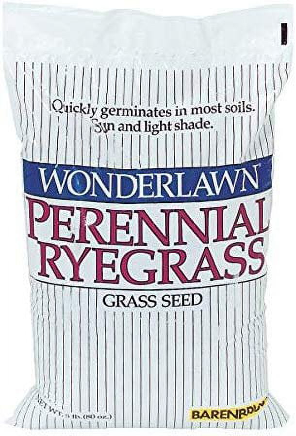 Barenbrug USA 22205 Ryegrass Grass Seed
