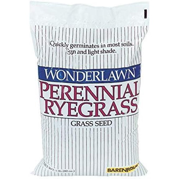 Barenbrug USA 22205 Ryegrass Grass Seed