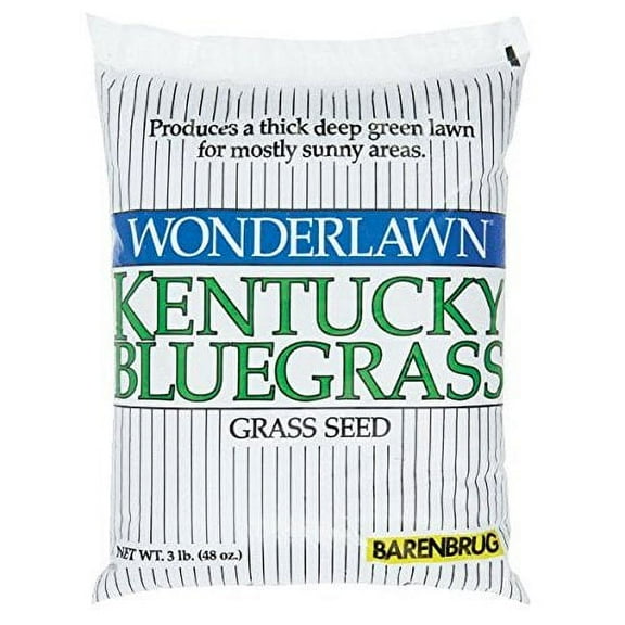 Barenbrug USA 50203 Bluegrass Grass Seed