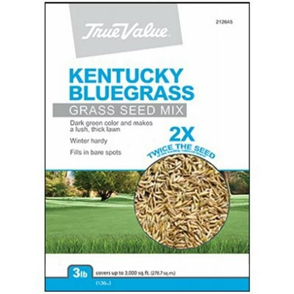 Barenbrug USA  TV 3LB KY BLUgrass Seed, TV 3 lbs Kentucky Bluegrass Seed