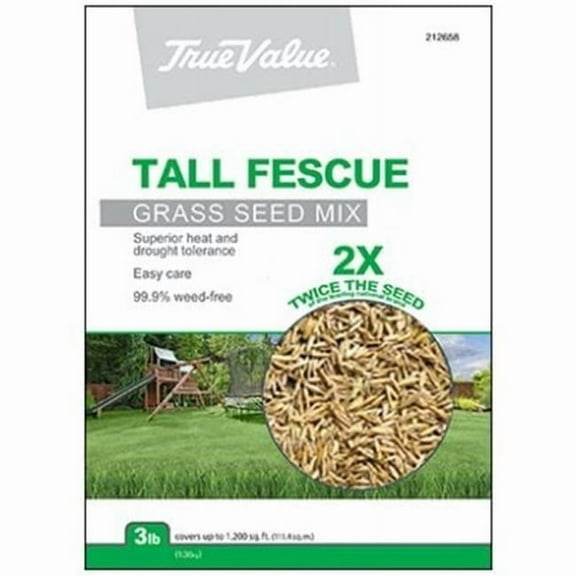 Barenbrug USA 212658 TV 3LB Tall Fescue Seed, TV 3 lbs Tall Fescue Seed