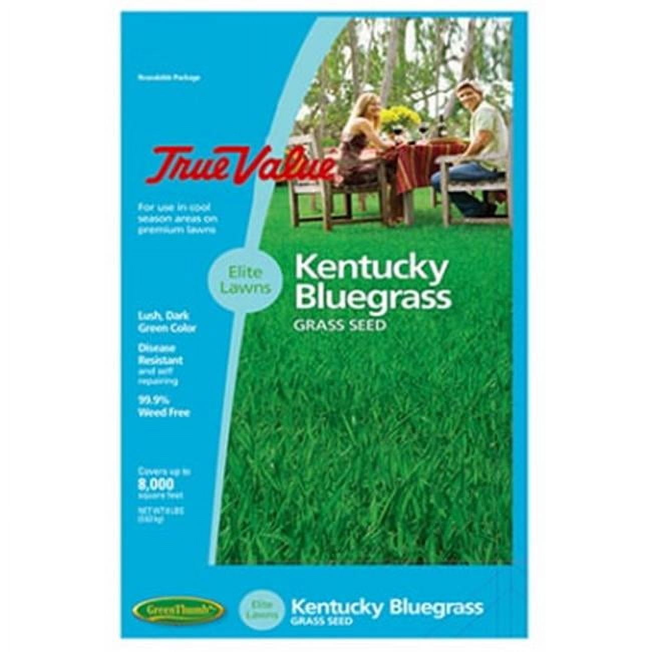 Barenbrug USA  TV 7LB KY BLUgrass Seed, TV 7 lbs Kentucky BLUgrass Seed
