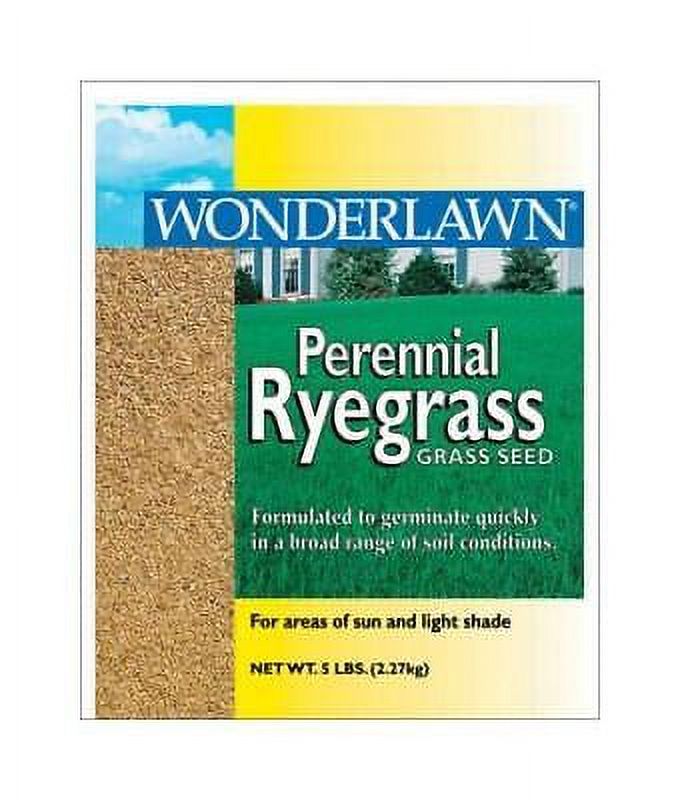 Barenbrug Wonderlawn Perennial Ryegrass Partial Shade/Sun Grass Seed 5