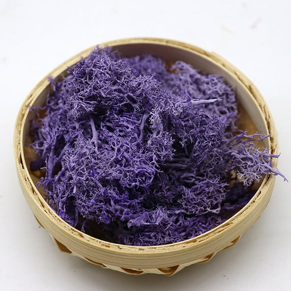 Barhoo Artificial Moss Clearance, Potted Plants Garden Decoration Immortal Natural Dry Moss Wedding Party Plant Crafts Floral Background Decoration Moss Immortal Flower Decoration Artificial Plants D