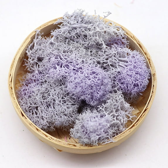 Barhoo Artificial Moss Clearance, Potted Plants Garden Decoration Immortal Natural Dry Moss Wedding Party Plant Crafts Floral Background Decoration Moss Immortal Flower Decoration Artificial Plants F