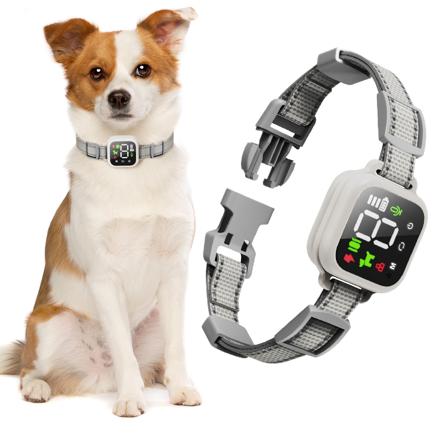 Buzzer collar for dogs hotsell