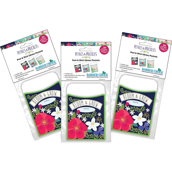 Barker Creek Peel & Stick Library Pockets- 3 Designs- 90 pieces