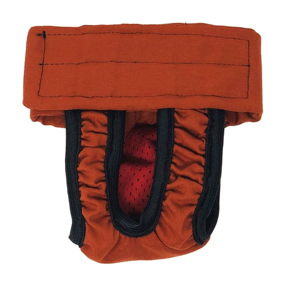 Barkertime Burnt Orange Cat Diaper Pull-up