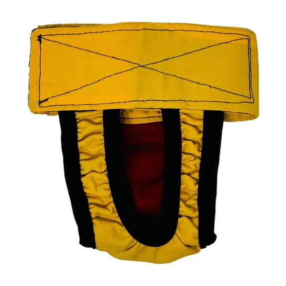 Barkertime Daffodil Delight Dog Diaper Pull-up