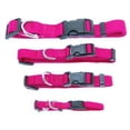 thumbnail image 1 of Barking Basics Dog Collar - Dark Pink 14-20" Length, 1 of 1