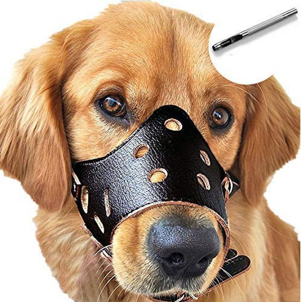 Barkless collars for dogs hotsell