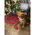 thumbnail image 1 of Barkwow Christmas Gift Set Box for Small Dogs, 1 of 4