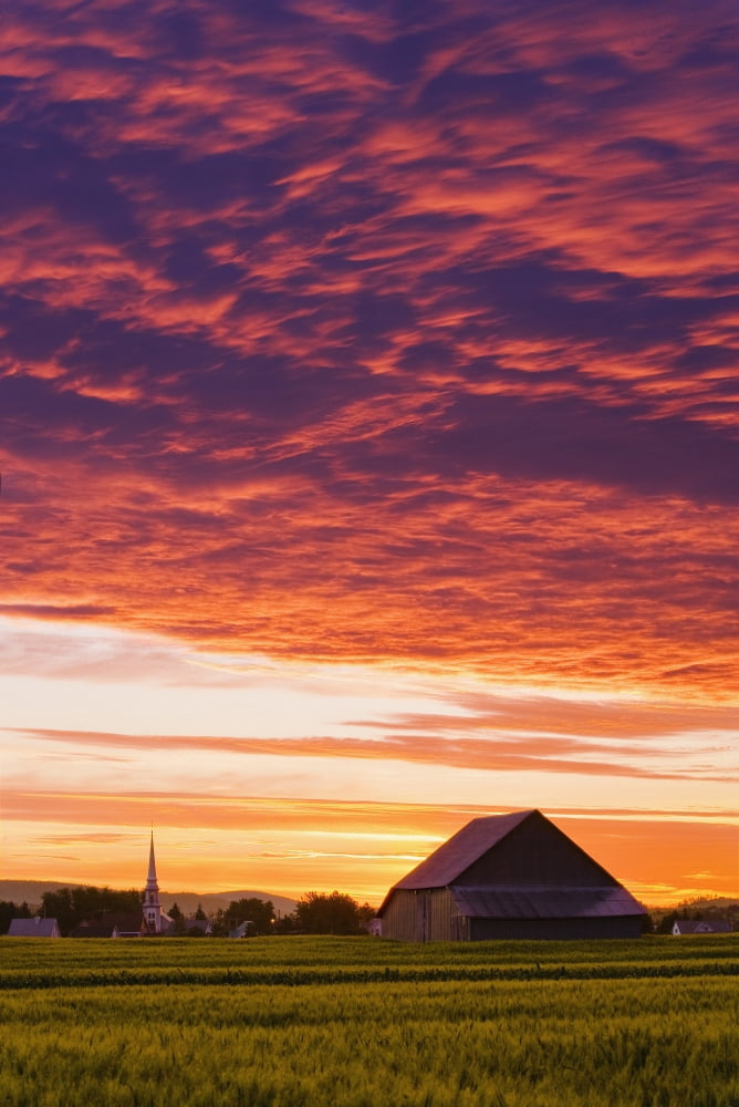 Barley Fields Barn Church And Colourful Sky At Dusk Bas-Saint-Laurent Region Saint-Donat Quebec Canvas Art - Yves Marcoux Design Pics (22 x 34)