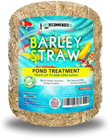Barley Straw for Fish Ponds and Fountain (16 Oz). Treats to 3000 to